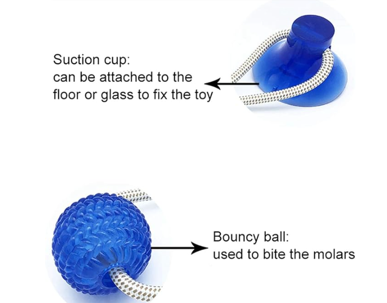 Juguete Multifuncional Mordedor surtido